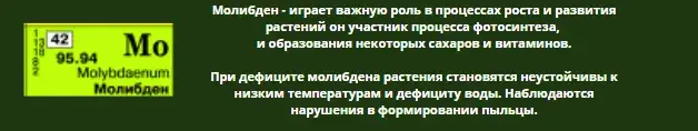 Микроэлементтер тапшылығын жапырақ арқылы анықтау, фото 23