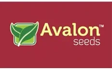 Компания Avalon Logo