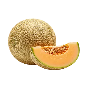 Қауын тұқымдары