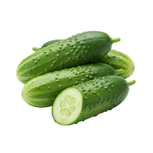 Қияр тұқымдары