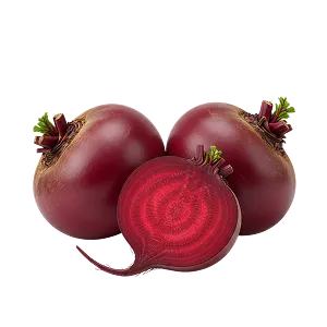 Қызылша тұқымдары