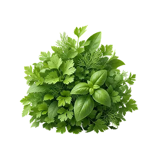 Көк шөп тұқымдары