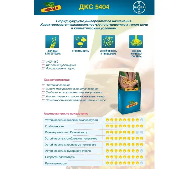 Кормовая кукуруза  ДКС 5404 F1 ФАО 460 2