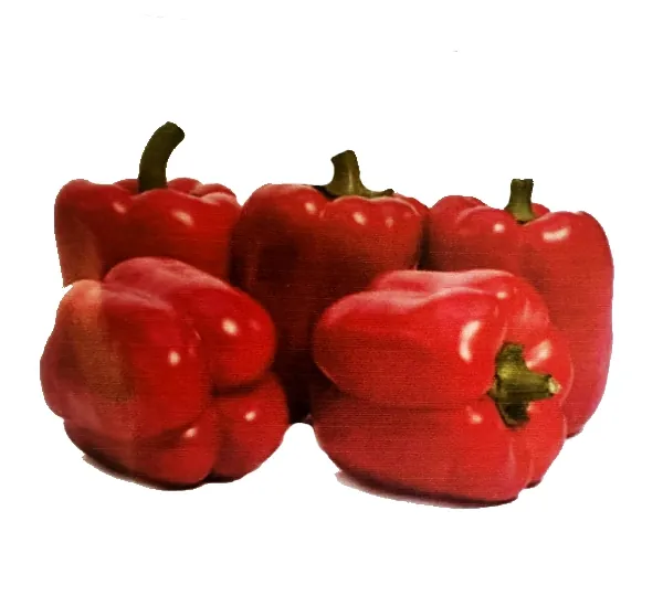 Перец Рубин F1 1