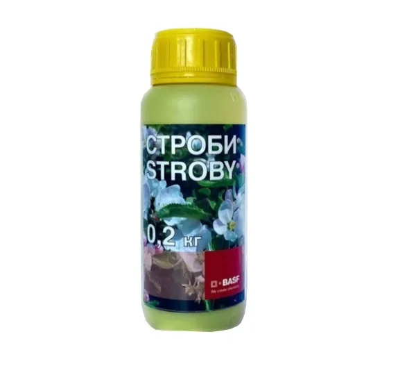 Фунгицид Строби ВДГ 1
