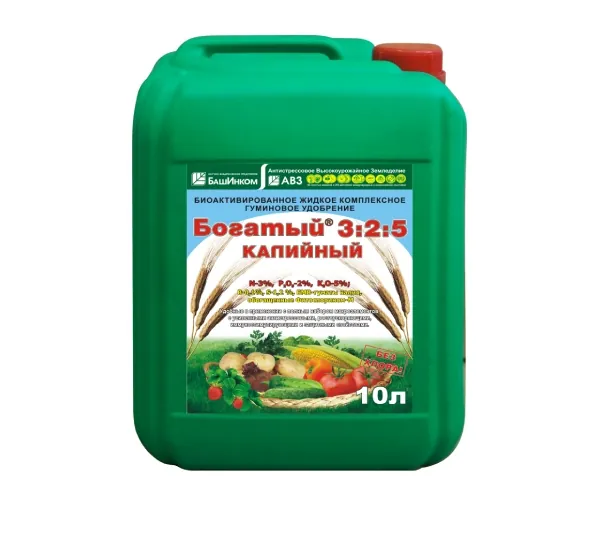 Богатый Калийный 1