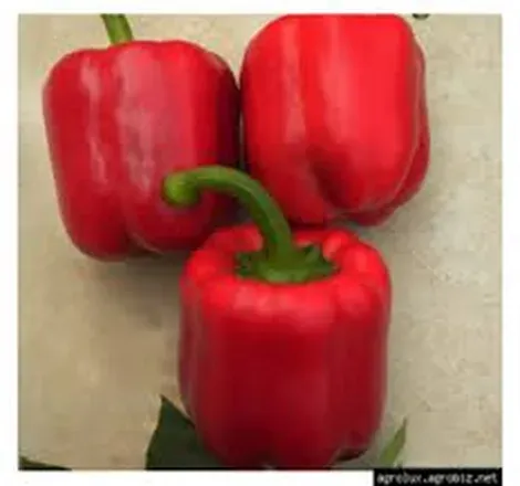 Перец Ред Джет F1 1