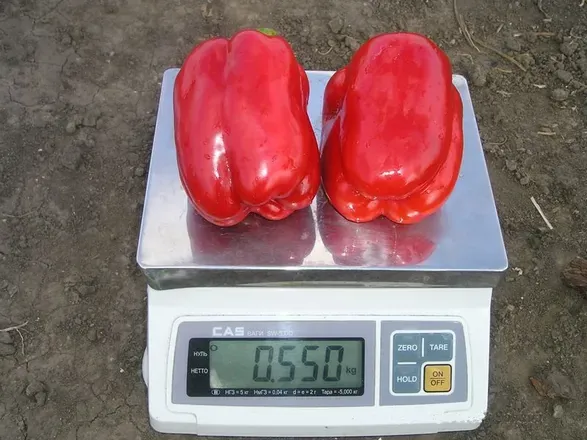 Перец Геркулес F1 1
