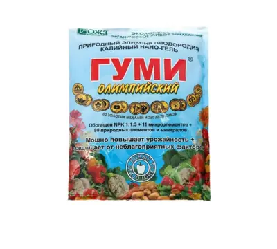 Гуми (олимпиялық гель)