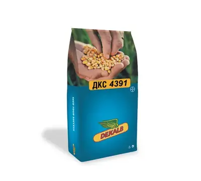 Кормовая кукуруза ДКС 4391 F1