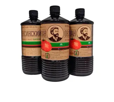 Иван Овсинский Бионик