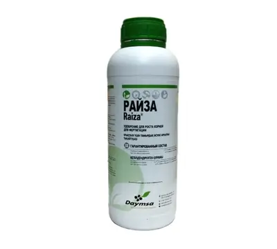 Райза