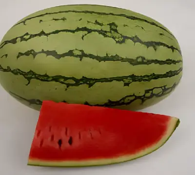 Қарбыз Шуби F1