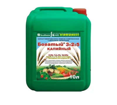 Богатый Калийный