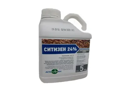 Ситизен