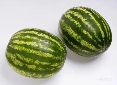 Қарбыз Топган F1