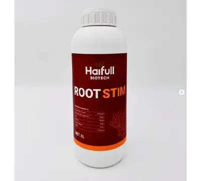 Аминокислота ROOT STIM