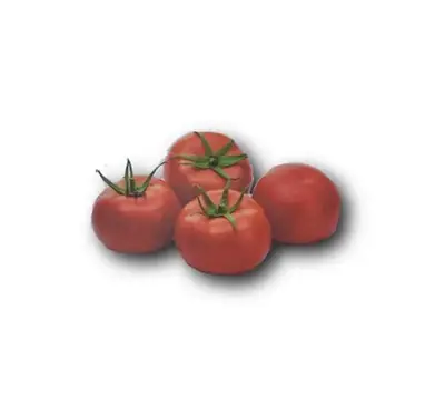 Қызанақ Сумбар F1