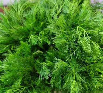 Аскөк Ханак (250 г)
