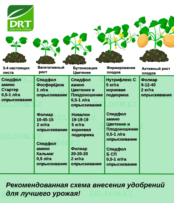Схема внесения удобрений - Семена дыни