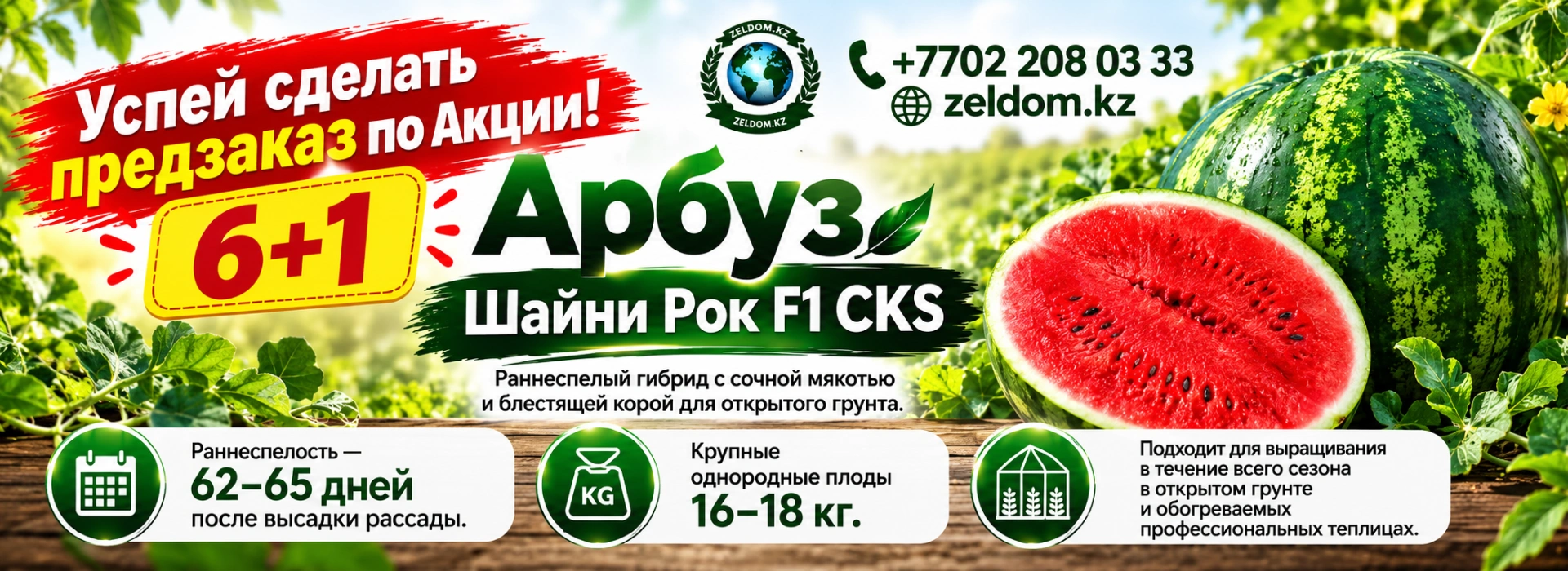 Шайни Рок 6+1