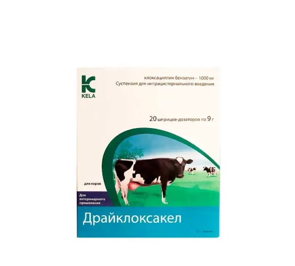 Драйклокс-кэл интрамаммарная мазь для коров