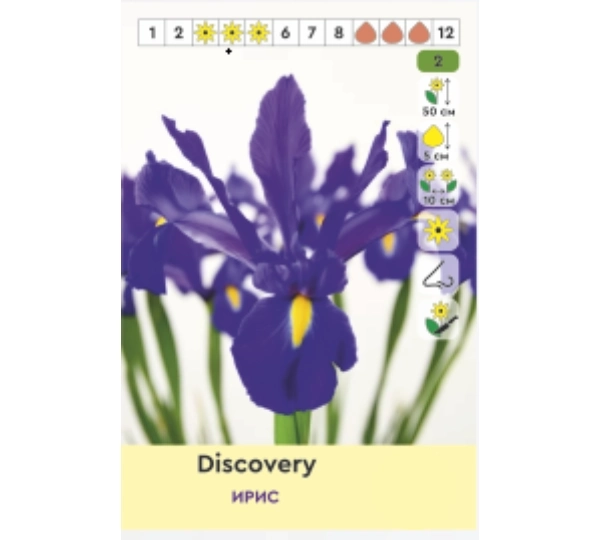 Набор Ирис и тюльпаны Блю Мэджик, Дискавери, Биг Смайл, Карола - 1.Blue Magic, Discovery, Big Smile, Carola - Фото №3