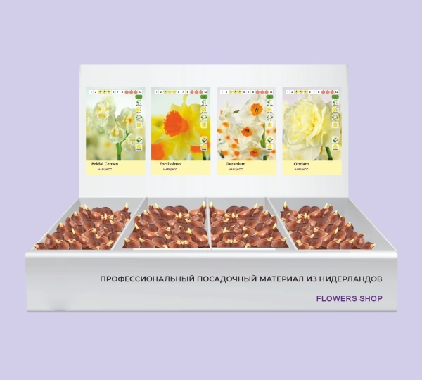Набор нарциссов Брайдал Краун, Фортиссимо, Джераниум, Обдам - Bridal Crown, Fortissimo, Geranium, Obdam - Фото №1
