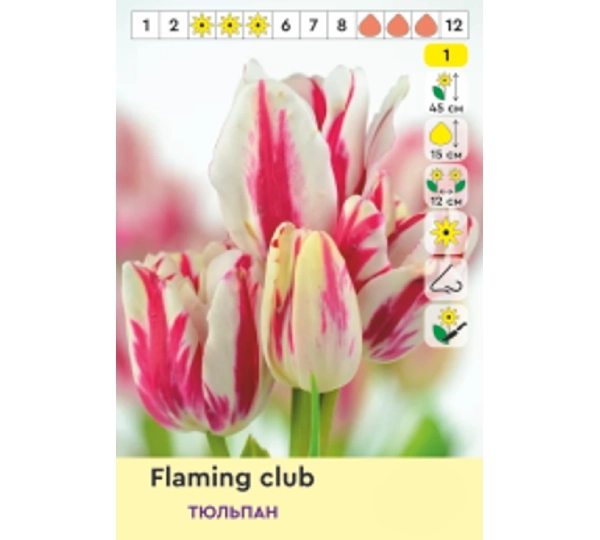 Набор тюльпанов Triumph Фламинг Клаб, Файери Клаб, Кэнди Клаб, Найт Клаб - Flaming Club, Fiery Club, Candy Club, Night Club - Фото №3