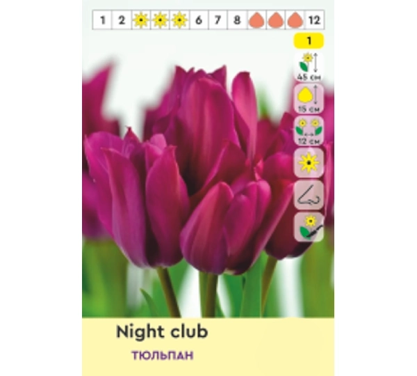 Набор тюльпанов Triumph Фламинг Клаб, Файери Клаб, Кэнди Клаб, Найт Клаб - Flaming Club, Fiery Club, Candy Club, Night Club - Фото №5