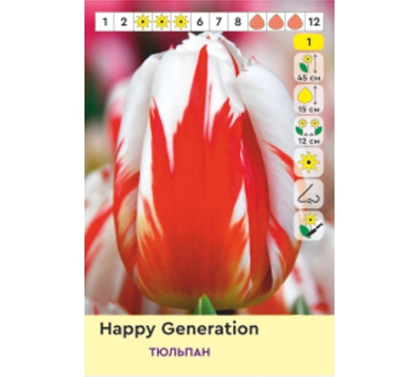 Набор тюльпанов Triumph Хэппи Дженерейшн, Доу Джонс, Мемфис, Марерро - Happy Generation, Dow Jones, Memphis, Marerro - Фото №5