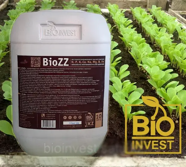 Биозз - Повышает урожайность и сроки хранения - Фото №1