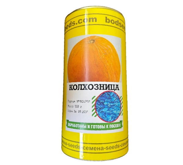 Дыня Колхозница (Bodseeds) - Среднеспелый классический сорт - Фото №1