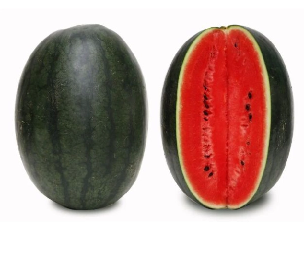 Арбуз Дарк Дракон F1 - Dark Dragon F1 Lion Seeds - Фото №1