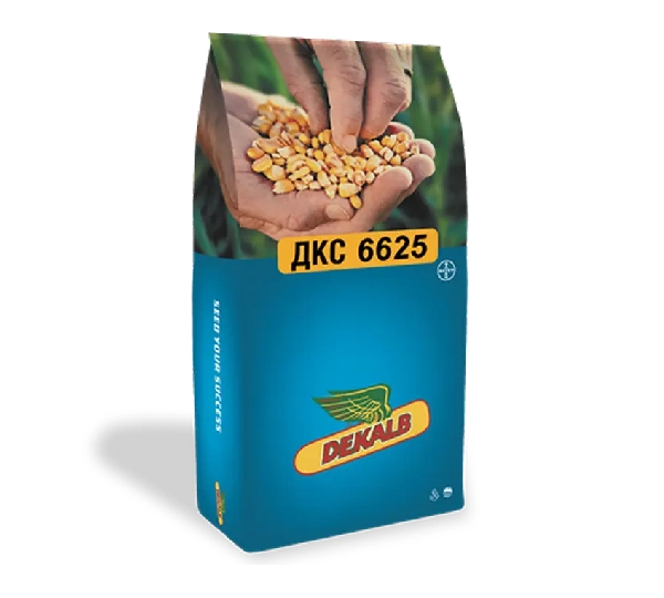 Кормовая кукуруза ДКС 6625 F1 - Среднеспелый гибрид кукурузы ФАО 630 от Bayer - Фото №1