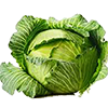 Белокочанной 