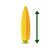 24–27 см