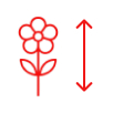 13 см