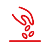 Среднецветущие