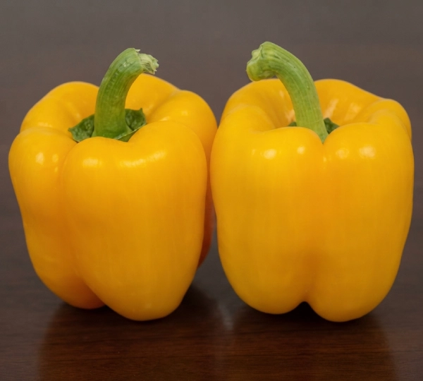 Перец Сандра F1 - Sandra F1 Kalash Seeds