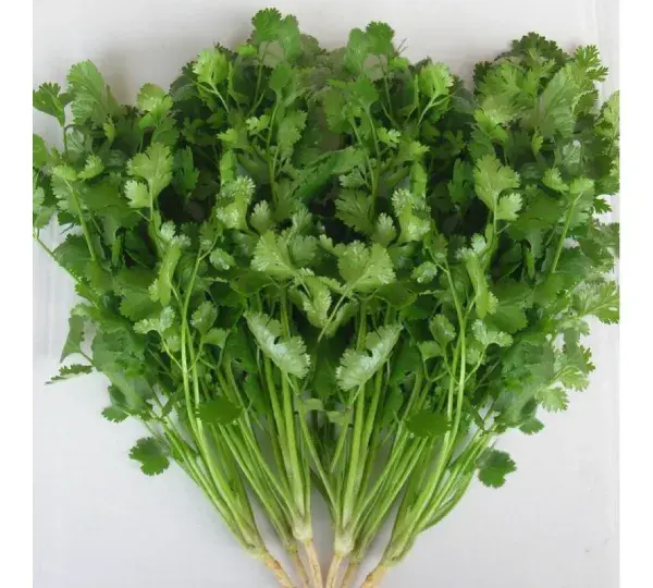 Кориандр Арома (100гр)