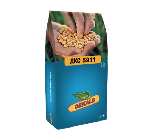 Кормовая кукуруза  ДКС 5911 50М F2 - Среднеспелый гибрид кукурузы ФАО 500 от Bayer - Фото №1
