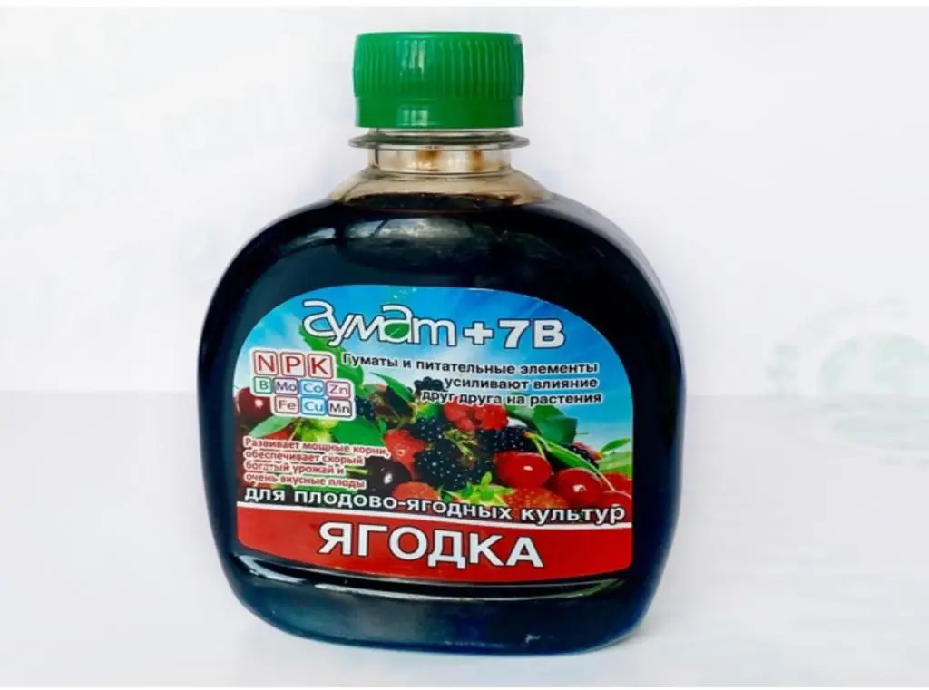 Гумат +7В для ягодных культур