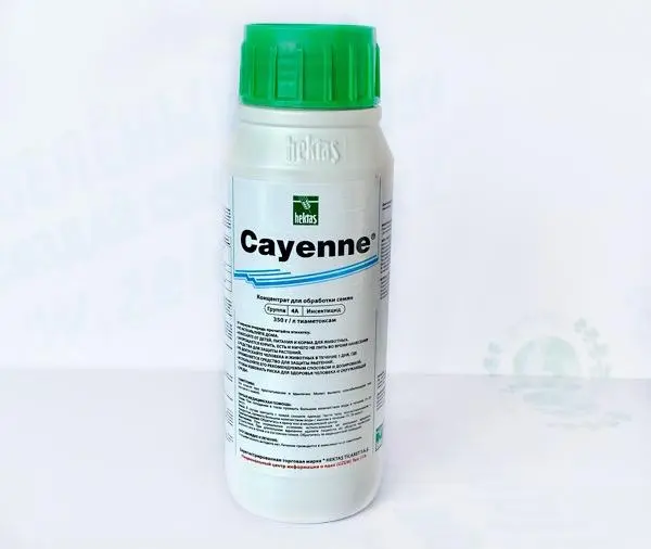 Каенна - Cayenne