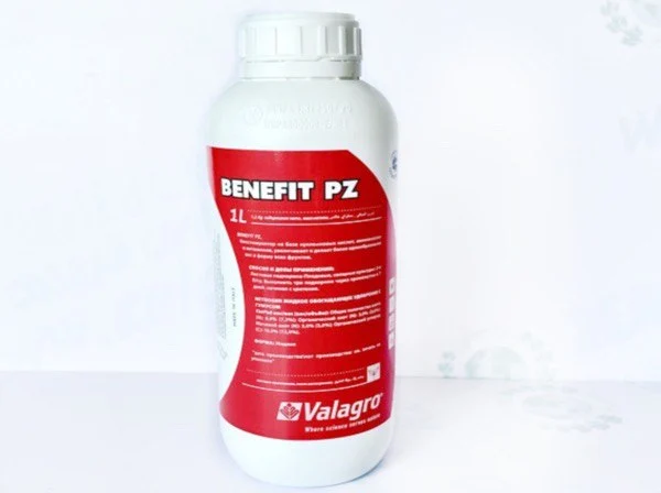 Бенефит ПЗ - Benefit PZ - Фото №1