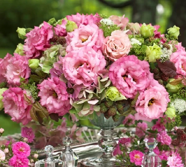 Эустома Корелли F1 3 Роуз - Eustoma Corelli F1 3 Rose - Фото №1